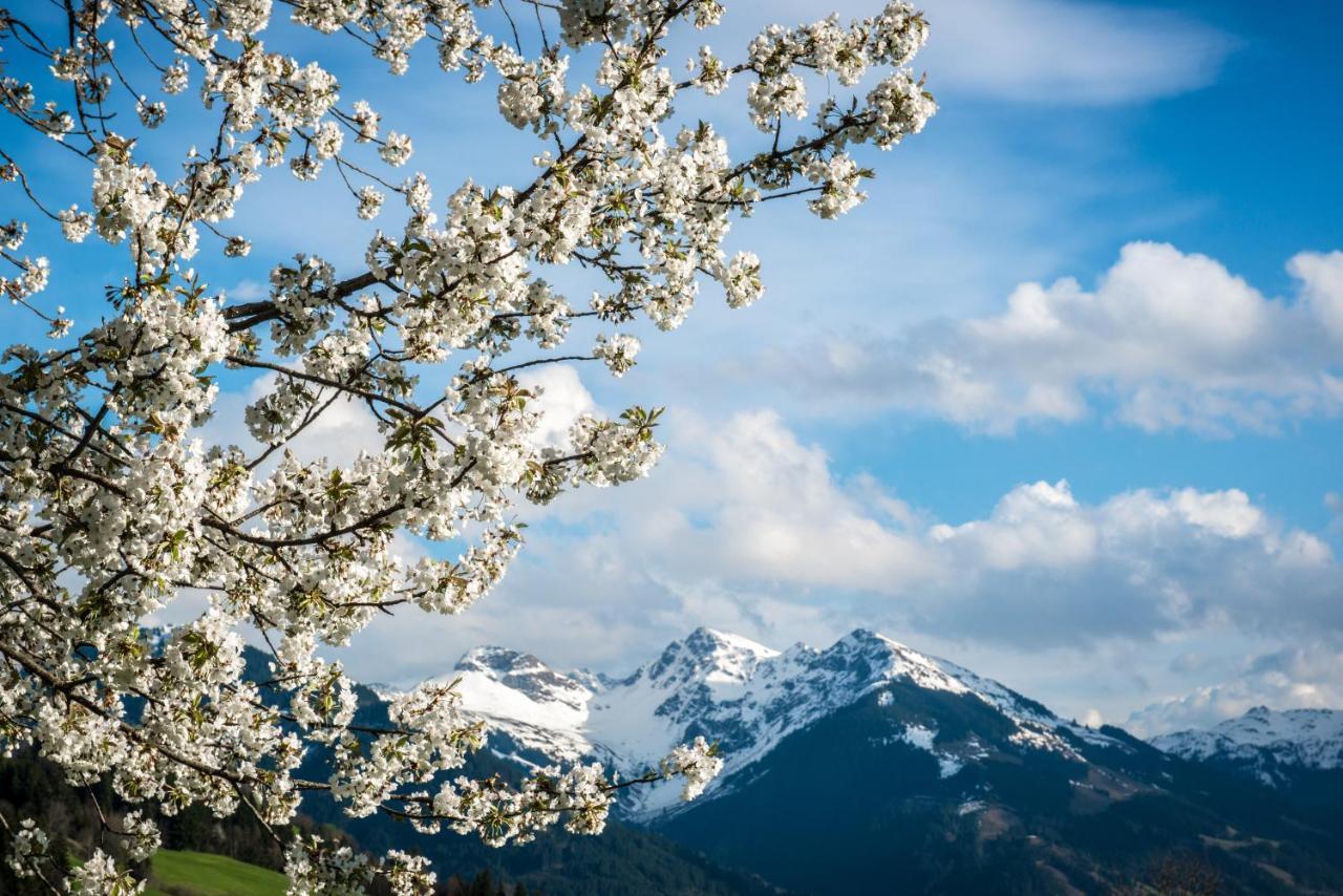 Residence Reith Kitzbuehel Zewnętrze zdjęcie